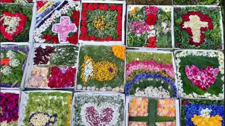 Blumenteppiche