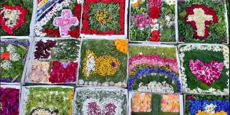 Blumenteppiche