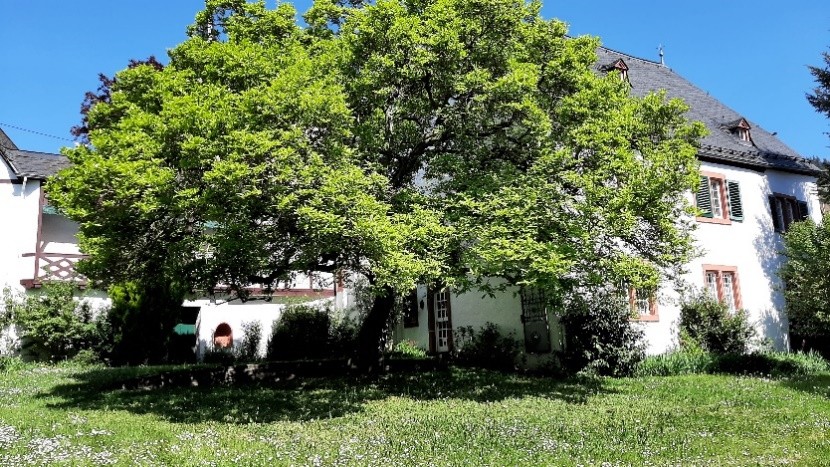 Pfarrgarten